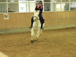 img_7918_web